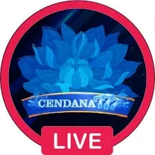 Aplikasi cendana777 Resmi dan Terpercaya di Android
